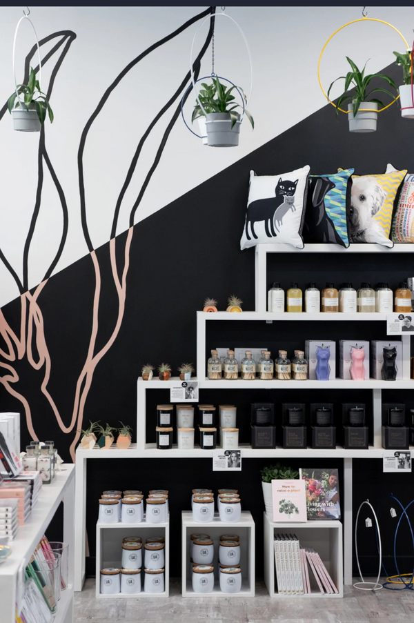 Skincando Boutique
